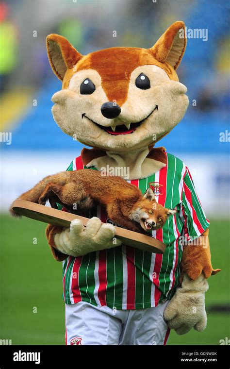 Carlisle United Amp 39 S Mascot Olga The Fox Carries The Original Club Mascot Before Kick Off Stock