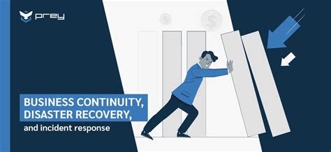 Strategies For Business Continuity And Disaster Recovery Prey