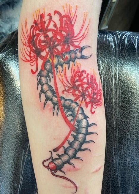 Tokyo Ghoul Centipede Tattoo: Symbolism Explained