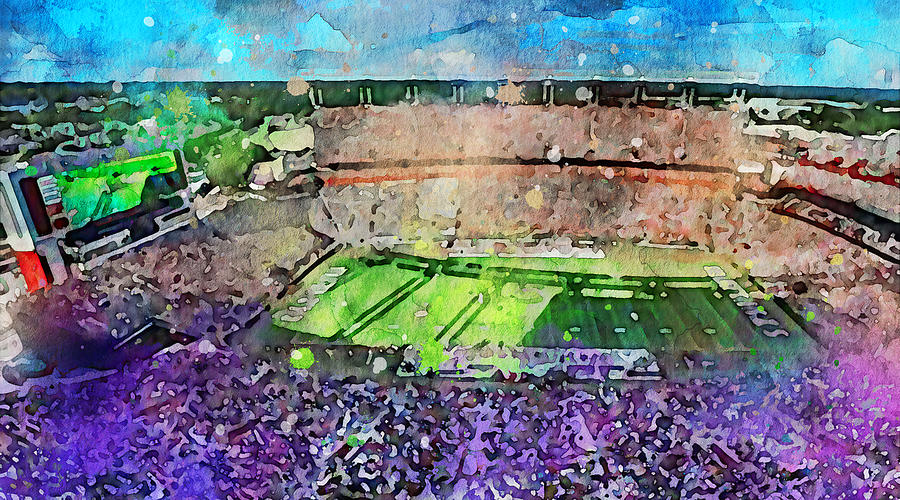 Watercolor 1247 Williamsbrice Stadium South Carolina Gamecocks Stadium Ncaa University Of South