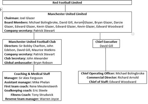 What Drives Manchester United? Team Strategy Insights