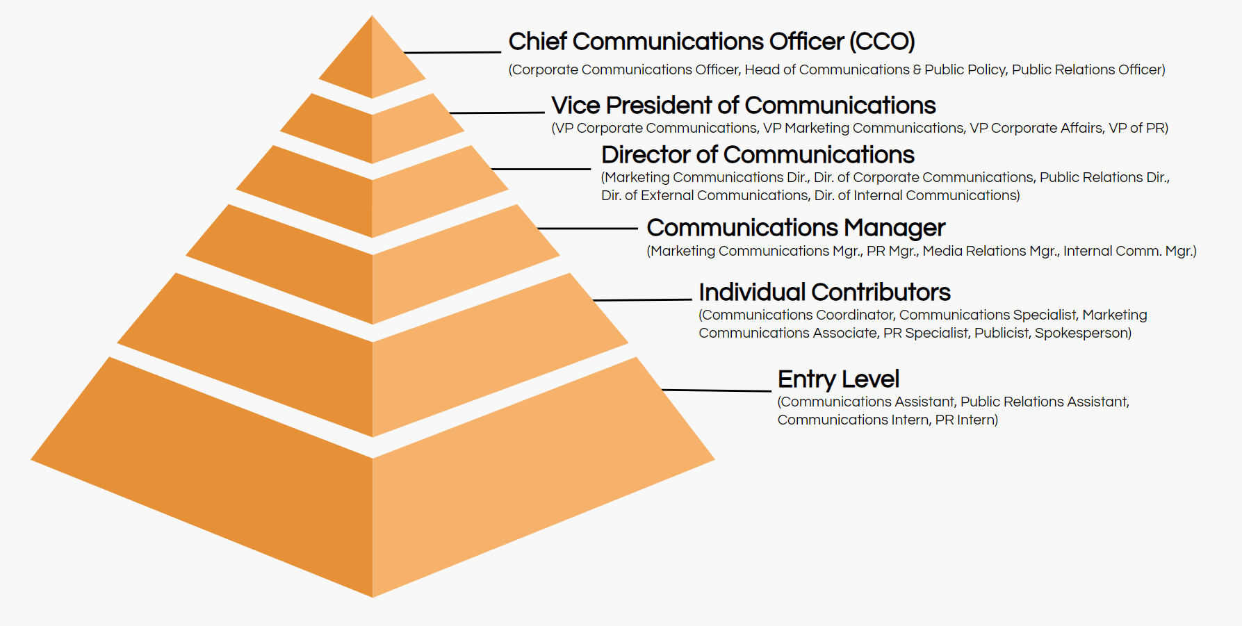 What Is Corporate Title Hierarchy? Chart